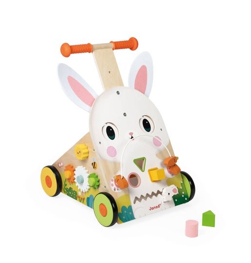 Farm Multi-Activity Baby Walker